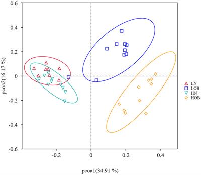 How hypoxia affects microbiota metabolism in mice